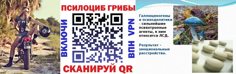 Галлюциногенные грибы Magic Shrooms  Североморск 
